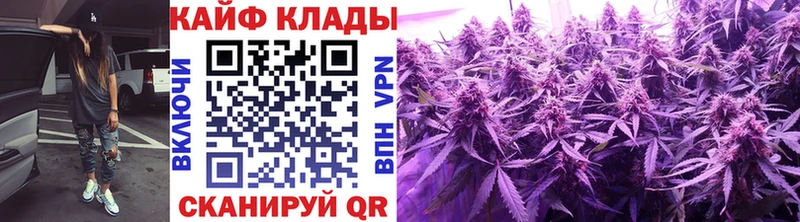 Как найти наркотики Елизово АМФ  kraken как зайти  КОКАИН  Мефедрон  Псилоцибиновые грибы  ГАШИШ  Канабис 