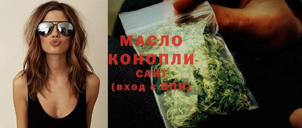 дживик Верхний Тагил