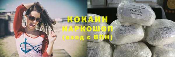 прущие грибы Вязьма