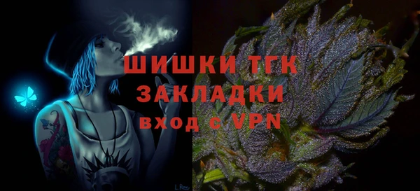 дживик Верхний Тагил