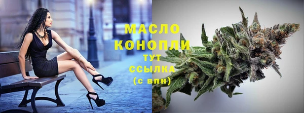 дживик Верхний Тагил